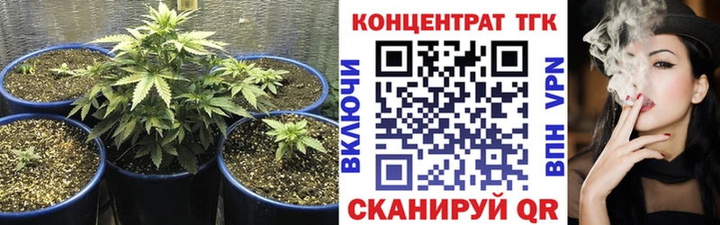 Купить закладки  Бакал  ТГК концентрат 