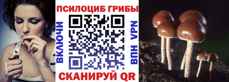 Купить закладки  Бакал  Галлюциногенные грибы ЛСД 
